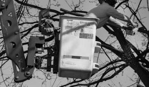 Fallen Timber Specialists