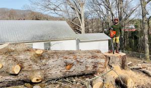 Bosky Land & Tree Care