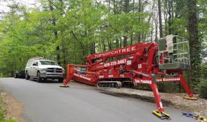 Top Notch Tree Care