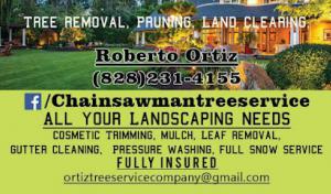 Chainsaw man tree service