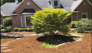 Moye Septic & Environmental