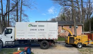 Green Woods Tree Service
