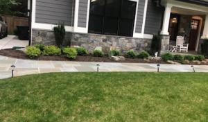 MDR Landscaping & Tree Service