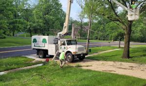 Kevin Brennan Tree Services