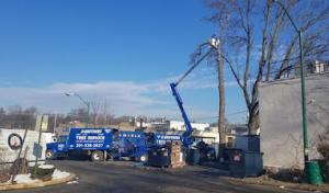 O'Brother Tree Service