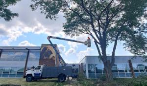 R & D Tree Service
