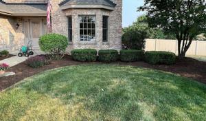 Go GREEN Septic Solutions