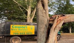 Cowart Tree Service