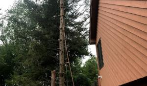 M&RG Tree Service