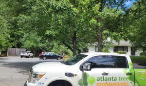 Kent Clean Septic