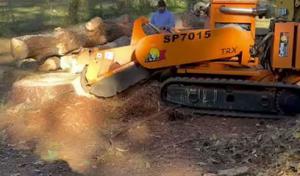 Dylan's Tree Services & Landscaping