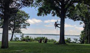 Stanley Tree Service