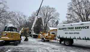 Alan’s Tree Service