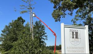 Tip-Top Tree Service