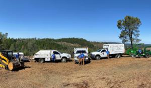 Elements Tree Service