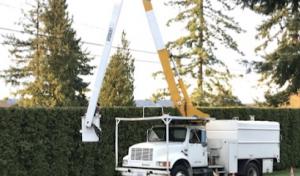 Infinity Tree & Outdoor Services