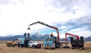 Splintered Forest Tree Services