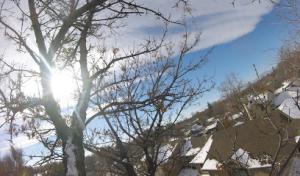 Great Cedar Tree Service