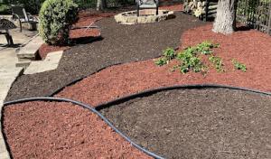 Brothers Tree Service