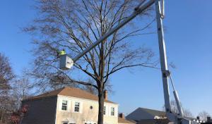 Hoefler Septic Service