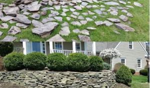 Carl's Septic Systems & Services in New Hampshire