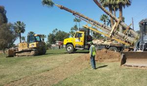 Rooter -Matic Sewer Drain & Septic