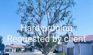 Grubb's Septic Cleaning
