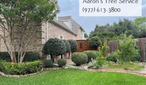 Aaron's Tree Service