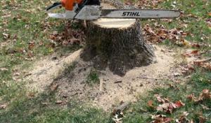 On The Grind Stump Removal