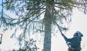 Edwin's Landscaping & Tree Experts