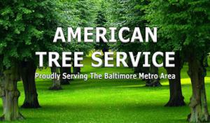 American Tree Service
