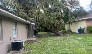 All Weather Tree Service