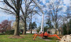 Spartek Tree Service