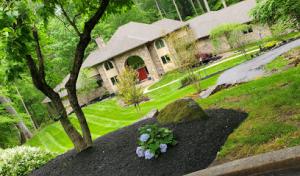 Rudy's Lawn & Tree Services