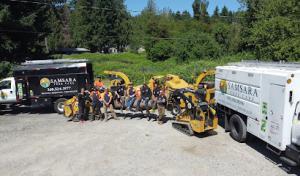 Samsara Tree Care