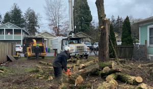 Second 2 None Tree Service