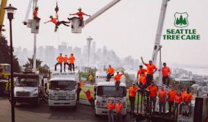 Seattle Tree Care