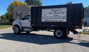 Stewart's Tree Mend Us Care