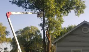 ACR Environmental Services
