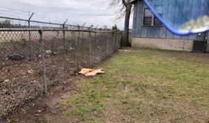 Americas Lawn & Tree Service