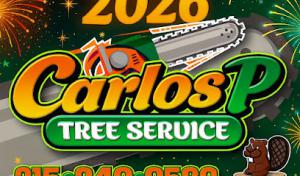 Carlos P Tree Service