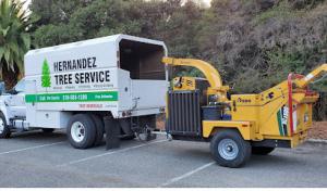 Morning Star Septic Service