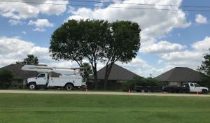 Lombard Tree Service