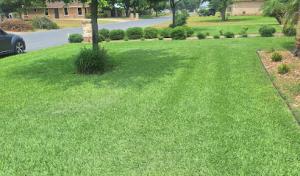 Waldo’s Lawn Care Service