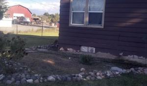 Union Septic Solutions