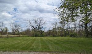 Thomas & Son Landscaping