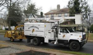 Bumblebee Tree Service & Landscape Design
