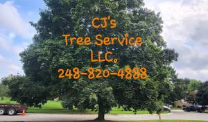 CJ'S Tree Service