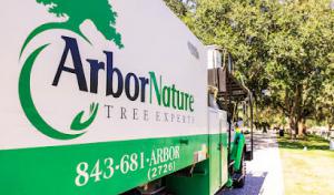ArborNature Tree Experts
