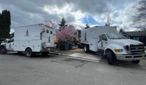 Western Hemlock Tree Service